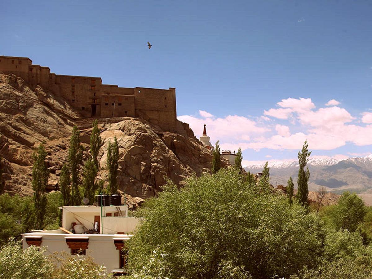 The Hotel Himalaya, ليه المظهر الخارجي الصورة